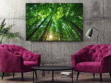 Obraz Les a jeho tajomstvá 1927